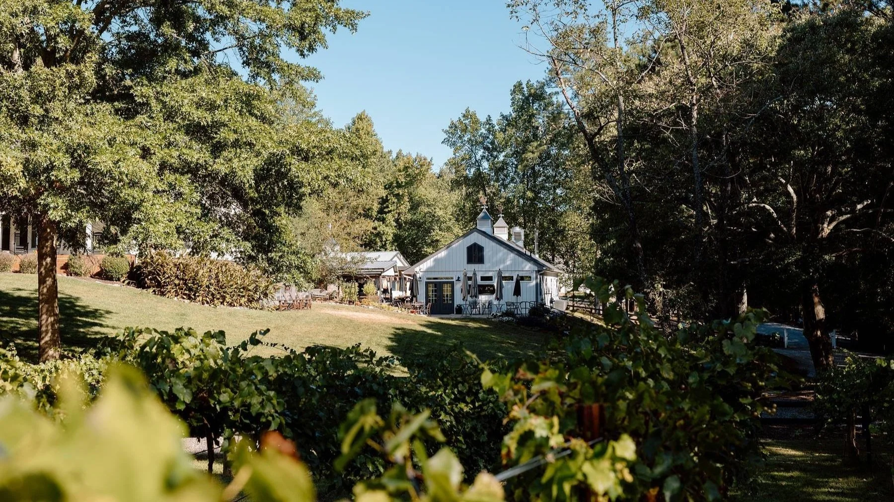 The white winery buildings of Stoney J’s seen across the vines