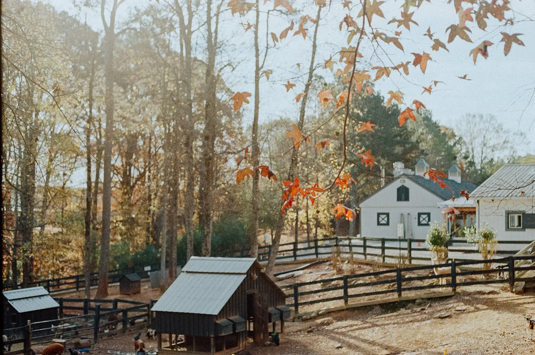 The winery's farm buildings in late autumn